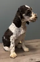 processed/b4ee585b-0df8-4813-a1a9-cee6c0050e0d/listing/06b9bac9-8f45-447c-9e08-bd528835a79d/5550ba62-1808-417a-92cf-8c01c293acf6