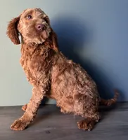 processed/b4ee585b-0df8-4813-a1a9-cee6c0050e0d/listing/1630169d-dbb4-4aad-8379-d790f446aee5/1ec44b2b-343a-4182-9423-28d52bbab820