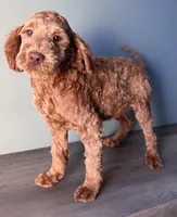 processed/b4ee585b-0df8-4813-a1a9-cee6c0050e0d/listing/1630169d-dbb4-4aad-8379-d790f446aee5/60adae3e-ea33-4c23-9698-f5d18a590fa4