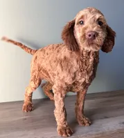 processed/b4ee585b-0df8-4813-a1a9-cee6c0050e0d/listing/1630169d-dbb4-4aad-8379-d790f446aee5/6850da63-89d2-4dd0-84f4-f65a5c551aae