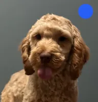 processed/b4ee585b-0df8-4813-a1a9-cee6c0050e0d/listing/2f76dc7a-6bd6-4834-8adc-082411dc4ba2/08b0790d-4536-4ef3-97ea-5a76fdfa4306