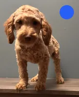 processed/b4ee585b-0df8-4813-a1a9-cee6c0050e0d/listing/2f76dc7a-6bd6-4834-8adc-082411dc4ba2/2e4365ad-de39-4baa-9c9e-132b82edd381