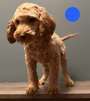 processed/b4ee585b-0df8-4813-a1a9-cee6c0050e0d/listing/2f76dc7a-6bd6-4834-8adc-082411dc4ba2/3f7b6cf8-e5d9-4a46-ae7c-1e36b082855a