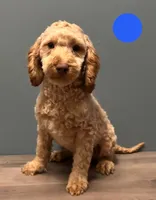 processed/b4ee585b-0df8-4813-a1a9-cee6c0050e0d/listing/2f76dc7a-6bd6-4834-8adc-082411dc4ba2/4959faa4-3bf3-4f56-9f21-05d1557336b8