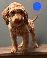 processed/b4ee585b-0df8-4813-a1a9-cee6c0050e0d/listing/2f76dc7a-6bd6-4834-8adc-082411dc4ba2/76d5602e-9d5d-480f-a169-17f030ea28a0