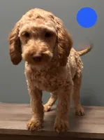 processed/b4ee585b-0df8-4813-a1a9-cee6c0050e0d/listing/2f76dc7a-6bd6-4834-8adc-082411dc4ba2/862ace30-2b07-44b1-9c54-6cf49e8ff37c