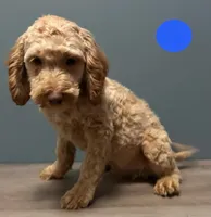 processed/b4ee585b-0df8-4813-a1a9-cee6c0050e0d/listing/2f76dc7a-6bd6-4834-8adc-082411dc4ba2/f88adbe2-941a-402a-9418-a350f145b4c6