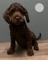 processed/b4ee585b-0df8-4813-a1a9-cee6c0050e0d/listing/e3d25c04-d50e-4b98-8ee8-0f4cfedb6fac/001a150f-ee22-4b8d-b6ce-b6a3e6d7ffd4