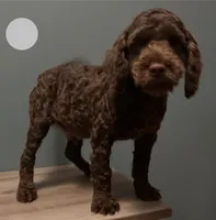 processed/b4ee585b-0df8-4813-a1a9-cee6c0050e0d/listing/e3d25c04-d50e-4b98-8ee8-0f4cfedb6fac/41e45291-2023-4e70-9440-182ce1505748