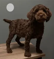 processed/b4ee585b-0df8-4813-a1a9-cee6c0050e0d/listing/e3d25c04-d50e-4b98-8ee8-0f4cfedb6fac/523d0bf3-18f9-4264-b45a-77db953e0da1