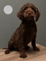 processed/b4ee585b-0df8-4813-a1a9-cee6c0050e0d/listing/e3d25c04-d50e-4b98-8ee8-0f4cfedb6fac/8c67c9ed-d8c4-40d9-8d16-e3f204ba138c