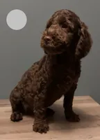 processed/b4ee585b-0df8-4813-a1a9-cee6c0050e0d/listing/e3d25c04-d50e-4b98-8ee8-0f4cfedb6fac/b68fa125-5ae3-4c9a-8149-91e30567f9c6