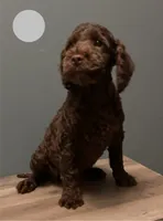 processed/b4ee585b-0df8-4813-a1a9-cee6c0050e0d/listing/e3d25c04-d50e-4b98-8ee8-0f4cfedb6fac/b9a522db-a31f-4c9b-896b-b0949aade823