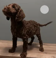 processed/b4ee585b-0df8-4813-a1a9-cee6c0050e0d/listing/e3d25c04-d50e-4b98-8ee8-0f4cfedb6fac/bcc60950-a132-4d69-b34f-5d9cf7c7f788