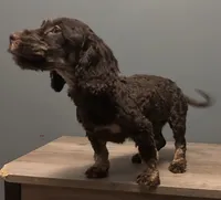 processed/b4ee585b-0df8-4813-a1a9-cee6c0050e0d/listing/fc00e9d9-6d98-4901-abc5-1c867c6f99c5/197e25ba-de63-40c4-8687-0702f98e127b