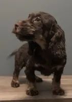 processed/b4ee585b-0df8-4813-a1a9-cee6c0050e0d/listing/fc00e9d9-6d98-4901-abc5-1c867c6f99c5/1b1b10b9-4d52-484c-9fef-dacf99a68ae6