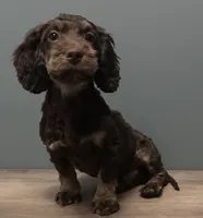 processed/b4ee585b-0df8-4813-a1a9-cee6c0050e0d/listing/fc00e9d9-6d98-4901-abc5-1c867c6f99c5/37014007-3f3d-4287-b11b-8f2aa0952e74