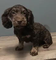 processed/b4ee585b-0df8-4813-a1a9-cee6c0050e0d/listing/fc00e9d9-6d98-4901-abc5-1c867c6f99c5/757942ad-1f97-424e-ad7c-118ddb050af1