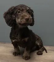 processed/b4ee585b-0df8-4813-a1a9-cee6c0050e0d/listing/fc00e9d9-6d98-4901-abc5-1c867c6f99c5/767a21c6-a7ec-4a43-bb62-547fff3818f9