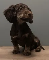 processed/b4ee585b-0df8-4813-a1a9-cee6c0050e0d/listing/fc00e9d9-6d98-4901-abc5-1c867c6f99c5/8df05ad5-6928-4321-b53c-e5b495c4a006