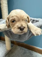 processed/b4ef1d7d-4dc5-4cb6-a727-73b159ebe4c3/listing/08dde8bf-0be7-4c18-b341-b143d6c5962d/8ba26470-f371-4fca-b9c6-0ff7d81c652d