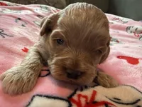 processed/b4ef1d7d-4dc5-4cb6-a727-73b159ebe4c3/listing/5cacc229-0fa0-4f77-ace7-a1eb69221a5f/138ee2c7-2cbf-4196-acdb-d3fe2a063b75