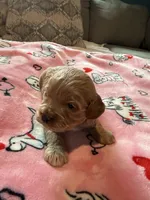 processed/b4ef1d7d-4dc5-4cb6-a727-73b159ebe4c3/listing/5cacc229-0fa0-4f77-ace7-a1eb69221a5f/aeba2227-c9b5-4fe9-a07e-f8c91b3bde65