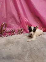 processed/b4f6eb73-dea9-401e-82ed-404a46338f97/listing/3b35456b-65a3-460f-9f43-e803c2d7edde/79d1c981-b049-430a-a33c-5f9d90b6f859