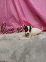 processed/b4f6eb73-dea9-401e-82ed-404a46338f97/listing/3b35456b-65a3-460f-9f43-e803c2d7edde/fbff339e-5a1d-4328-acd8-c0e964e8b964