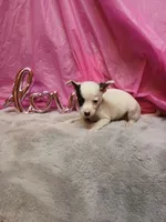 processed/b4f6eb73-dea9-401e-82ed-404a46338f97/listing/cd6410d4-d85f-454c-aba8-12a3d7b9110b/546984bc-cb22-4334-bddf-8718e5c9fca3