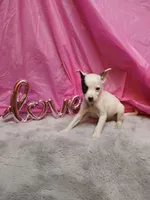 processed/b4f6eb73-dea9-401e-82ed-404a46338f97/listing/cd6410d4-d85f-454c-aba8-12a3d7b9110b/a94bdbed-fee1-429d-8b6b-5dd3fd46519c