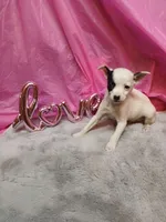 processed/b4f6eb73-dea9-401e-82ed-404a46338f97/listing/cd6410d4-d85f-454c-aba8-12a3d7b9110b/eca13520-45cf-44eb-b84b-8dfe991fd1ca