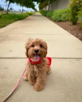 processed/b4f9af52-dccc-46f1-a323-7e22c9d824ba/facility/50763d25-8182-4ef5-8ef3-c58fe8546474