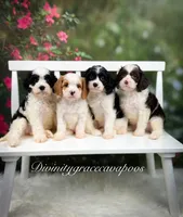 processed/b4f9af52-dccc-46f1-a323-7e22c9d824ba/facility/869d768d-27ac-4748-b649-2feb2cd57590