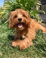 processed/b4f9af52-dccc-46f1-a323-7e22c9d824ba/facility/92fa0f95-cf66-4544-a6da-7df7d0f397a3