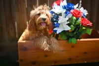 processed/b4f9af52-dccc-46f1-a323-7e22c9d824ba/facility/c784ea1a-205f-4f25-8c9c-8e4dfd38a210