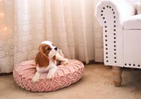 AKC Duchess, a female Cavalier King Charles Spaniel for sale in Marysville, CA – Photo 3 of 5