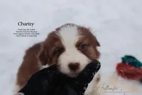 processed/b50129c6-e49f-490b-a48e-82b139701153/listing/39353c5f-58ab-447b-9deb-6c2de9a491a7/1ff11d8c-fe8f-418b-9205-3152d70776a7