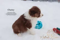 processed/b50129c6-e49f-490b-a48e-82b139701153/listing/39353c5f-58ab-447b-9deb-6c2de9a491a7/23cd1d64-c6d6-471e-81a3-4ae40758fc90