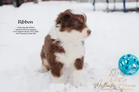 processed/b50129c6-e49f-490b-a48e-82b139701153/listing/39353c5f-58ab-447b-9deb-6c2de9a491a7/532fa857-b2e4-4635-b09f-edfec3f2f7e3