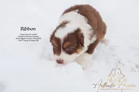 processed/b50129c6-e49f-490b-a48e-82b139701153/listing/39353c5f-58ab-447b-9deb-6c2de9a491a7/6c58e0c8-5736-46fb-93d6-8ba03808c6d6