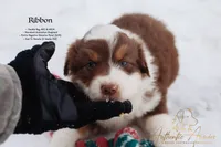 processed/b50129c6-e49f-490b-a48e-82b139701153/listing/39353c5f-58ab-447b-9deb-6c2de9a491a7/6f1d1f10-decb-45fa-bfaa-fb9438ddd181