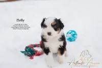 processed/b50129c6-e49f-490b-a48e-82b139701153/listing/39353c5f-58ab-447b-9deb-6c2de9a491a7/7aef42dc-424f-4372-907c-bac98ccb36b7