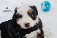 processed/b50129c6-e49f-490b-a48e-82b139701153/listing/39353c5f-58ab-447b-9deb-6c2de9a491a7/82929e06-2844-4d23-9caa-e8644665c69f