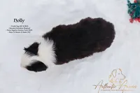 processed/b50129c6-e49f-490b-a48e-82b139701153/listing/b930704a-5f9b-49e4-b6dc-71e75ff9bbf5/711b483b-dba5-472b-b5f1-56801663162f