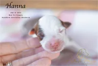 Hanna, a female Australian Shepherd for sale in Red Bud, IL – 4 of 4