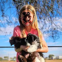 Frayas's boy, a male Miniature Schnauzer for sale in Queen Creek, AZ – Photo 8 of 9