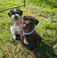 processed/b5084935-348e-4fc0-8b6e-55fffb57c100/listing/ac8567a1-86dc-4c3f-8329-1e60a87f7e70/bf585a6b-a354-4fe8-8578-fd01ec2ec209