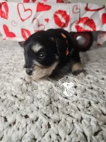 processed/b5084935-348e-4fc0-8b6e-55fffb57c100/listing/e45edd66-1fd1-4043-a878-5a8accc43db6/48e98827-c51f-46d3-93b4-f48e73ffe658