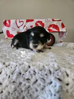 processed/b5084935-348e-4fc0-8b6e-55fffb57c100/listing/e45edd66-1fd1-4043-a878-5a8accc43db6/9c7e49af-d735-49dd-832e-09bfaa0aede0